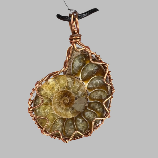 Ammonite Pendant